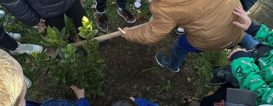 Festa dell'albero - Gli studenti piantano un'albero