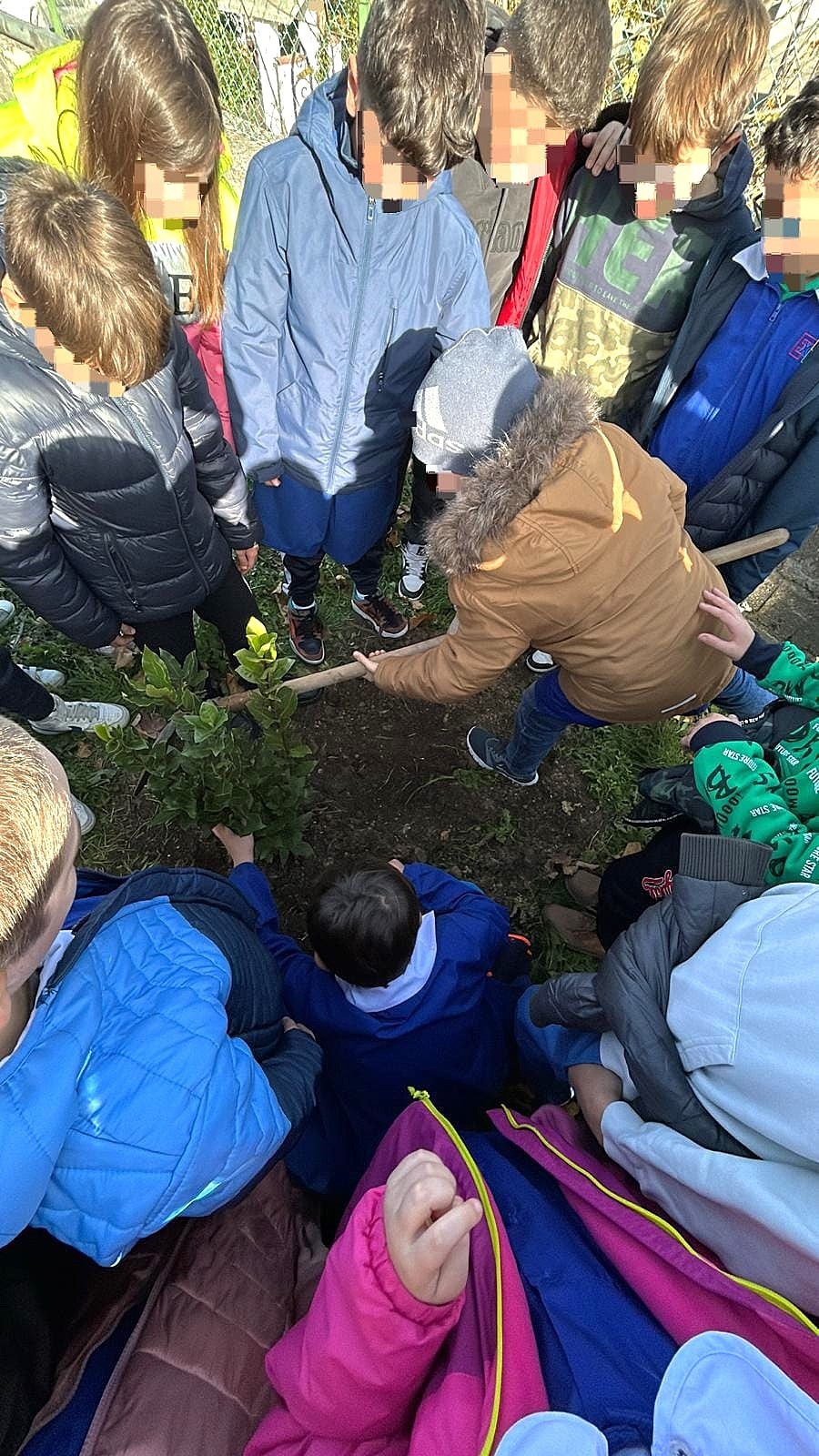 Festa dell'albero - Gli studenti piantano un'albero